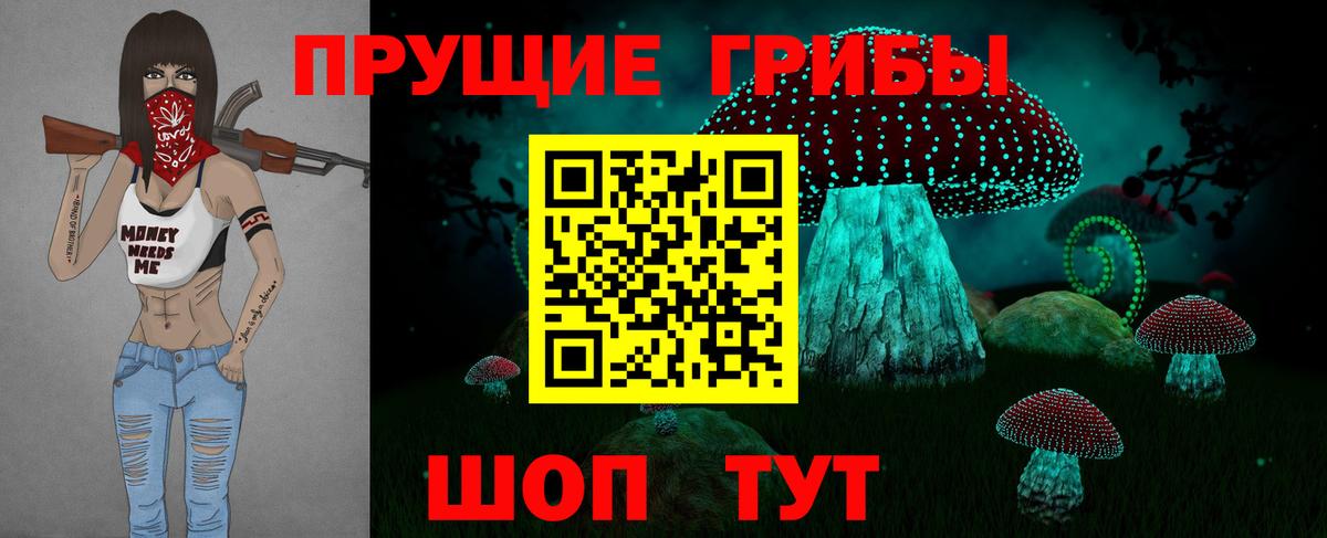 Псилоцибиновые грибы Psilocybe  Вход с VPN  Кисловодск 