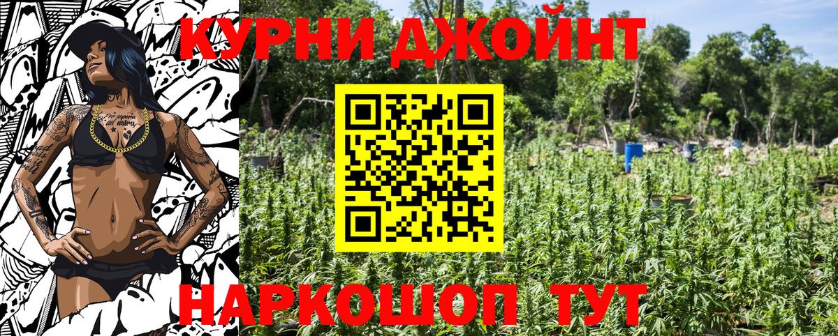 Конопля SATIVA & INDICA  Вход с VPN  Конопля VHQ  Конопля ГИДРОПОН  Кисловодск  МАРИХУАНА ГИДРОПОН 
